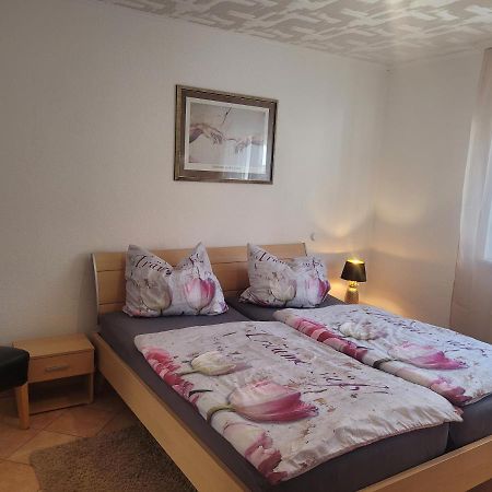 Ferienwohnung Jasmin In Schoenau Bei Heidelberg Fewo 2 شوناو المظهر الخارجي الصورة
