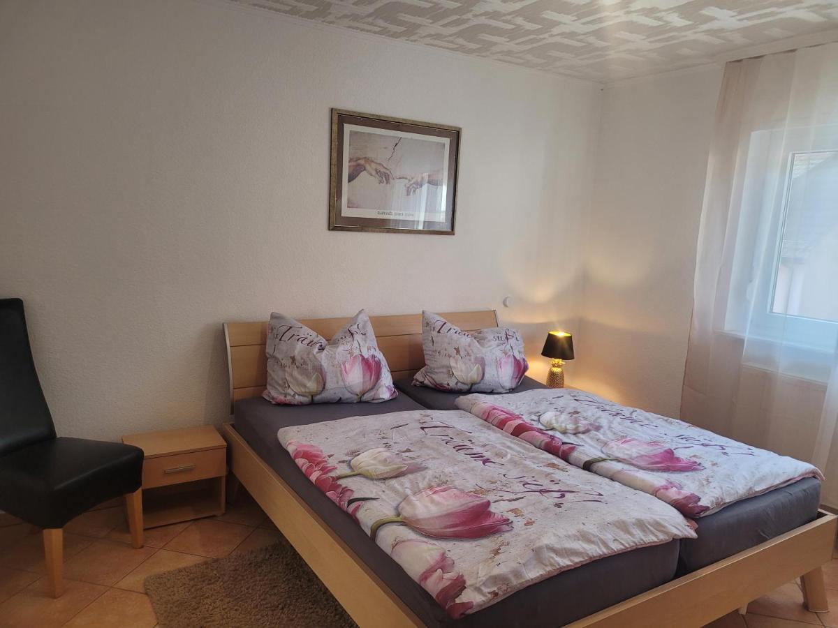 Ferienwohnung Jasmin In Schoenau Bei Heidelberg Fewo 2 شوناو المظهر الخارجي الصورة